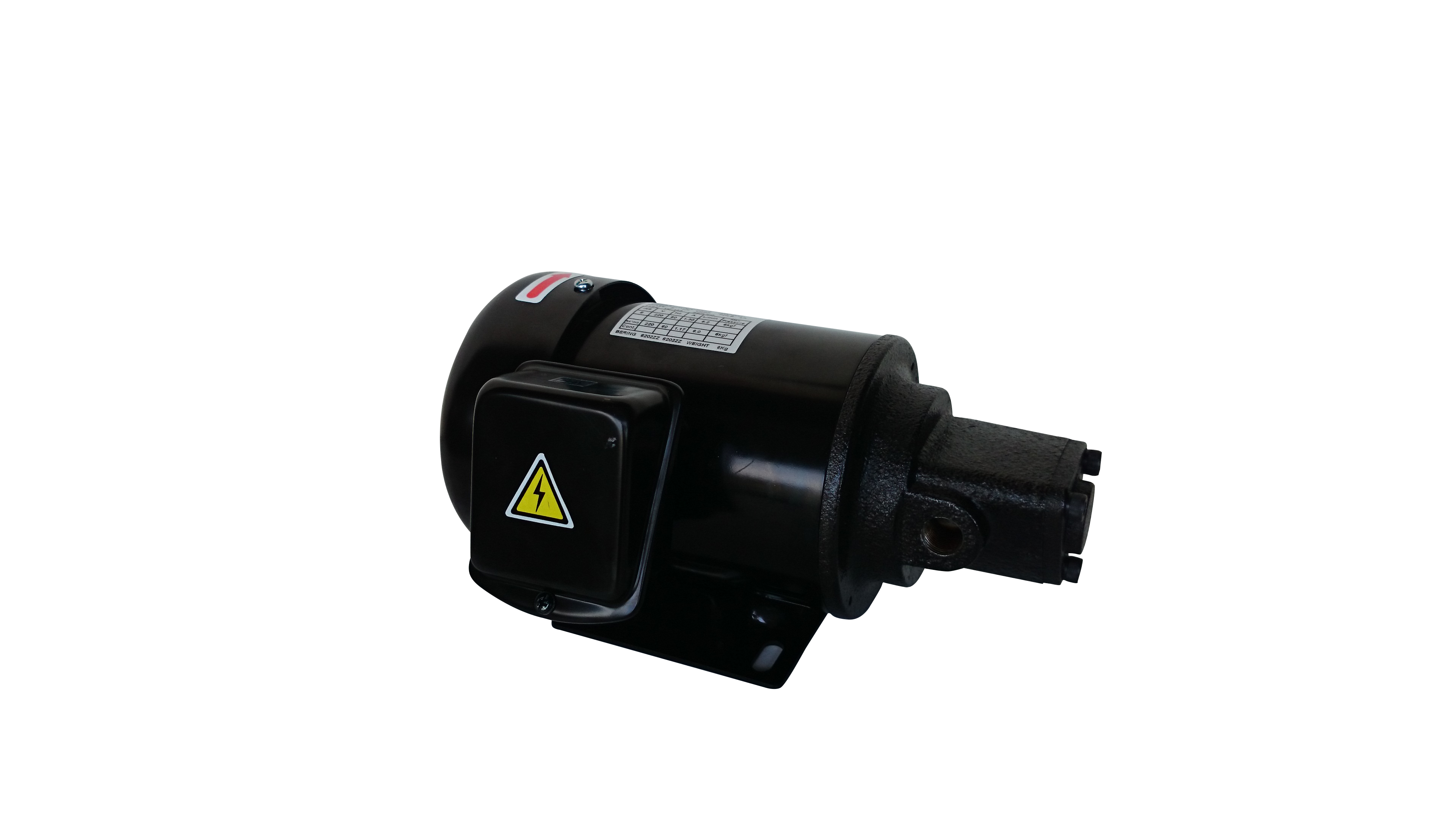 Trochoid Oil Pump